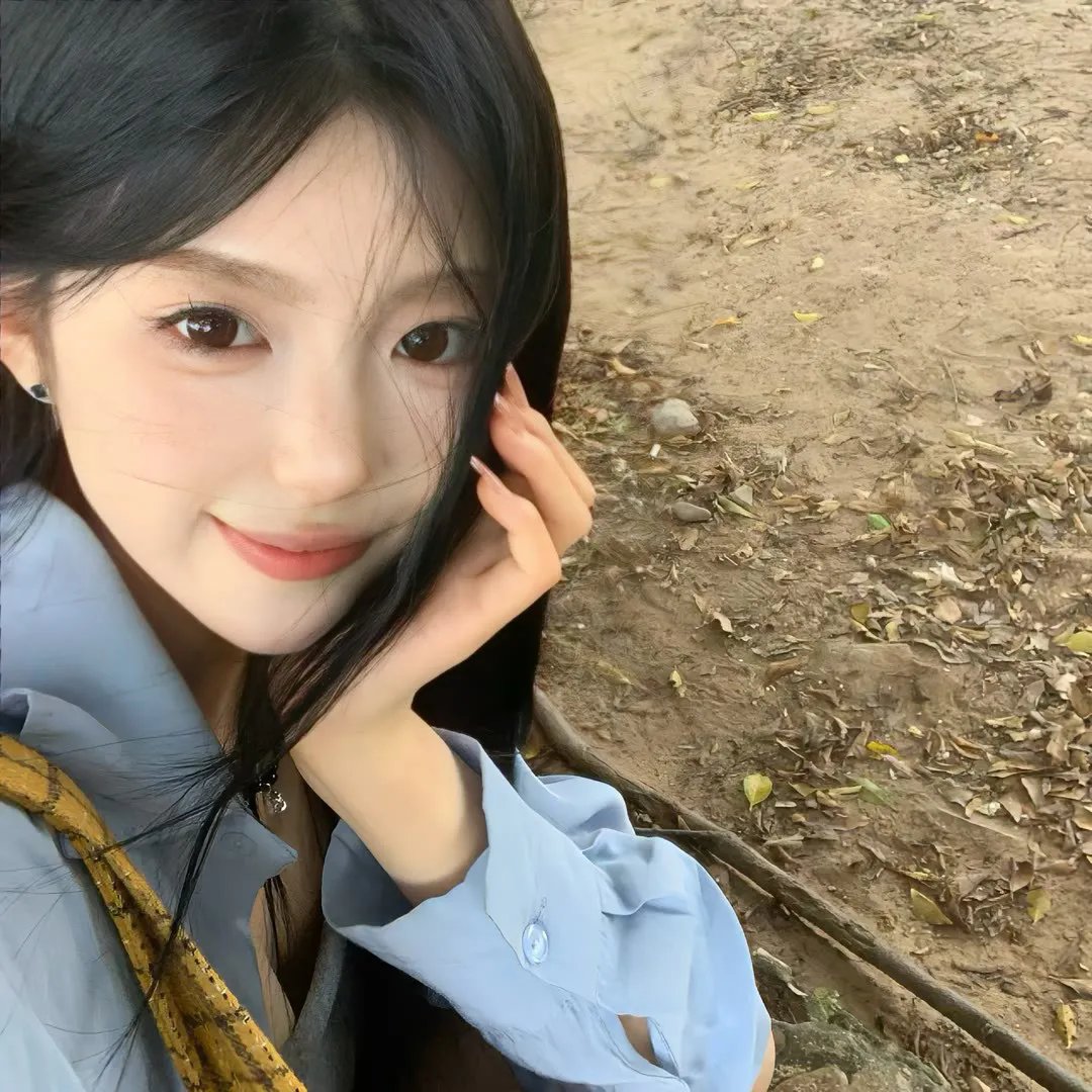 爱犬情深