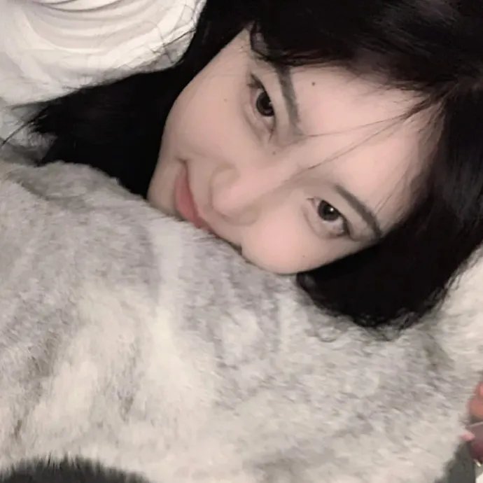丹美的电影宇宙