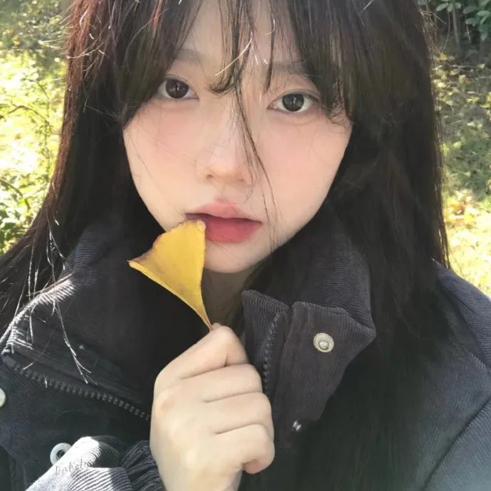遇见莫妮卡